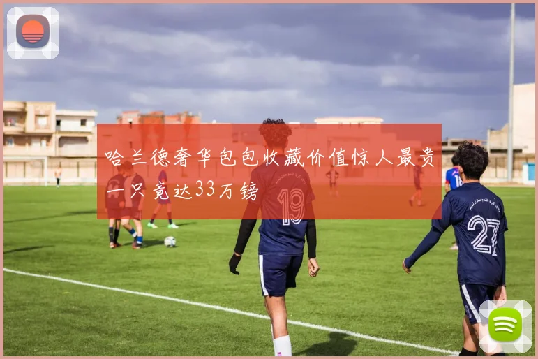哈兰德奢华包包收藏价值惊人最贵一只竟达33万镑